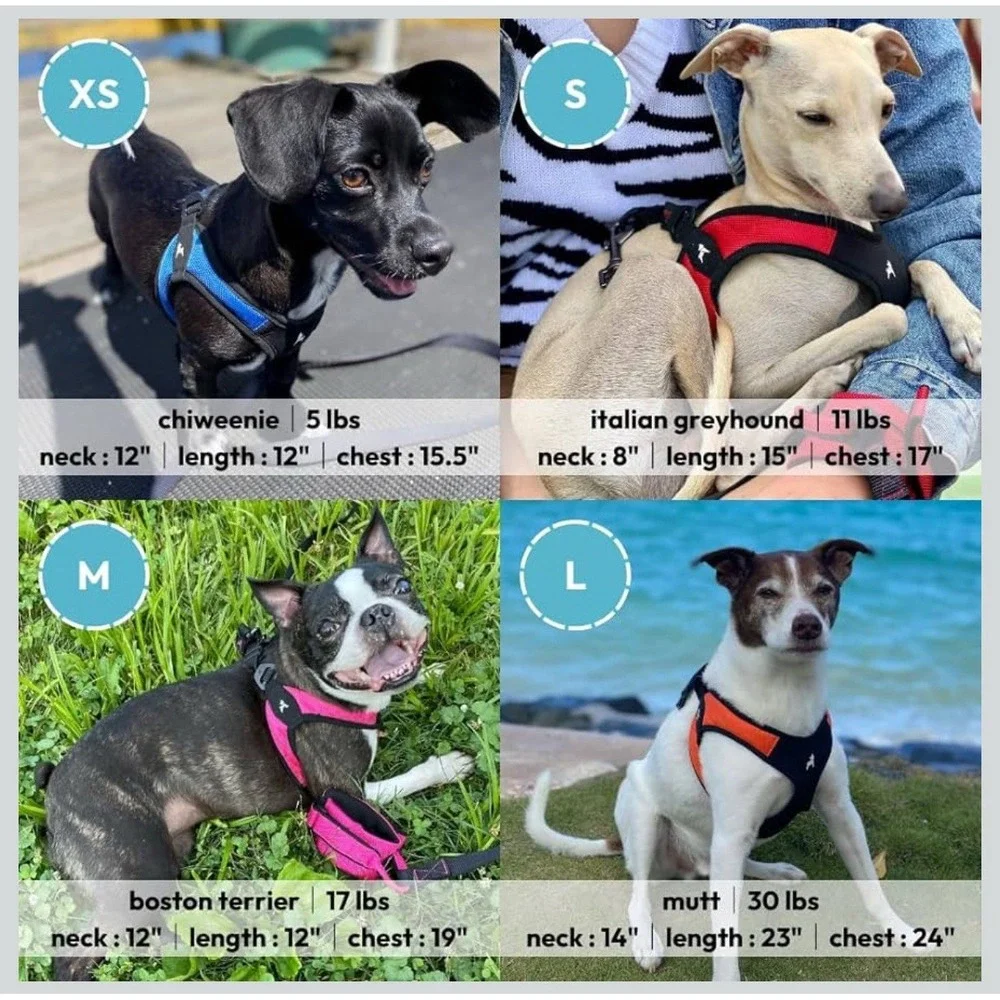 Gooby Escape Free Easy Fit‎ Harness Turquoise LargeNo Pull Small Dog Harness